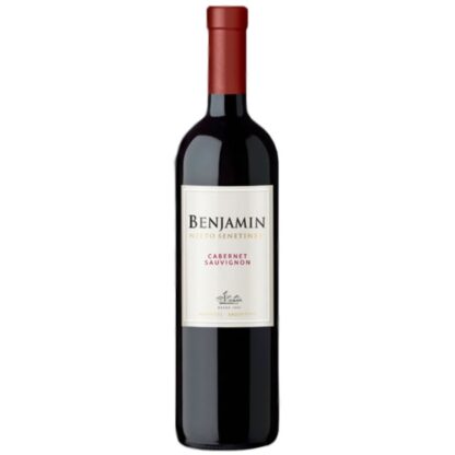VINHO ARGENTINO BENJAMIN CABERNET