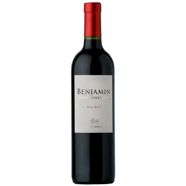 VINHO ARGENTINO BENJAMIN MALBEC