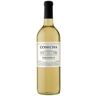 VINHO CHILENO COSECHA BLANC TARAPACA