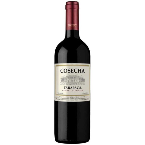 VINHO CHILENO COSECHA CABERNET