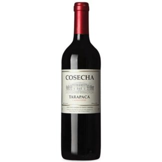 VINHO CHILENO COSECHA CARMENIERE