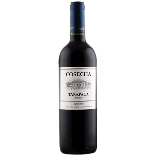 VINHO CHILENO COSECHA MERLOT